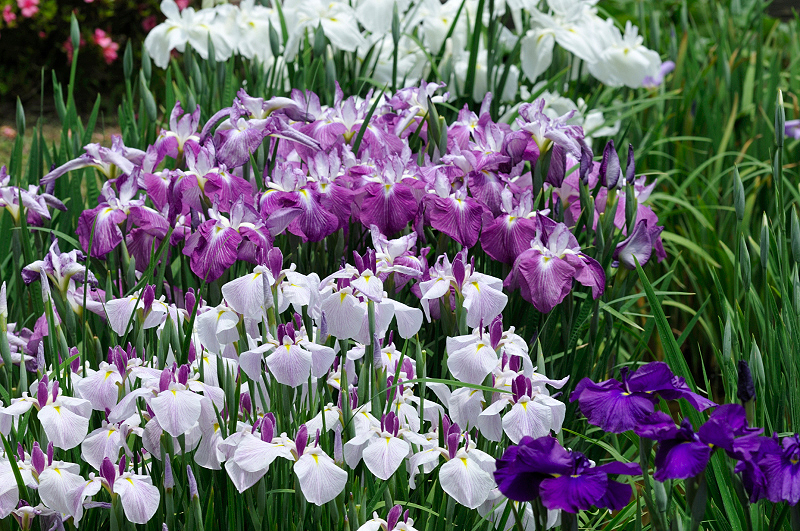 image0223
