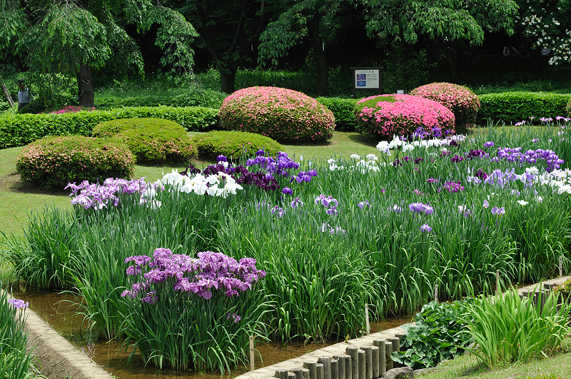 image0225