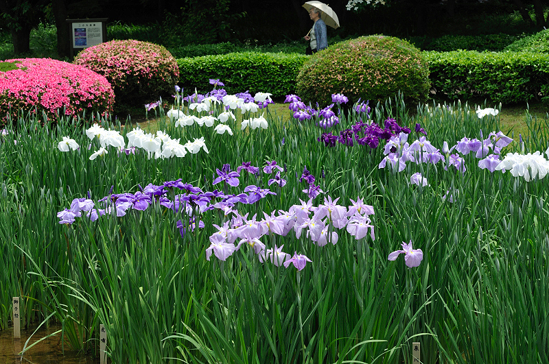 image0226