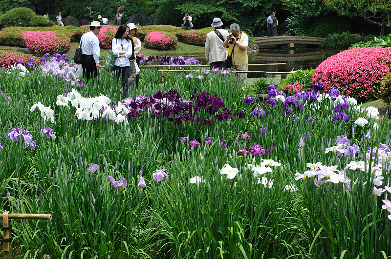 image0227