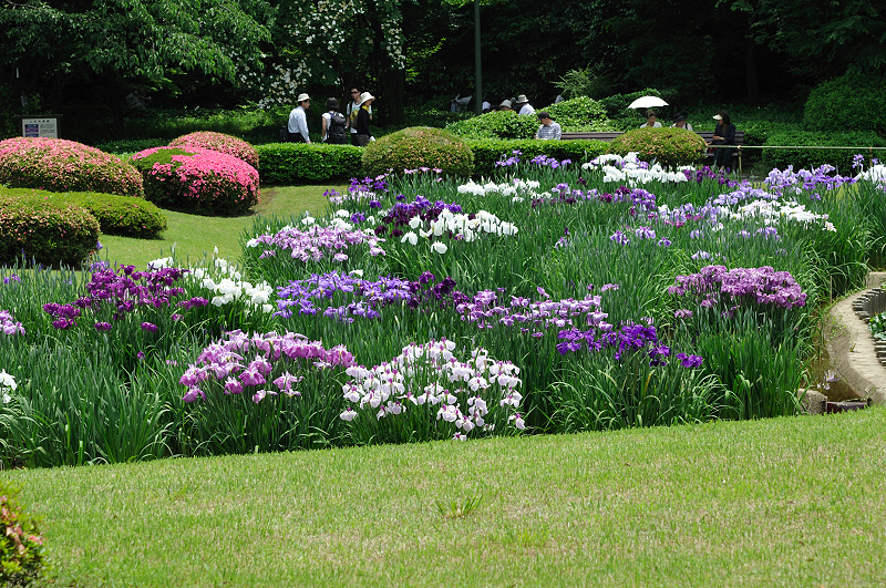 image0230