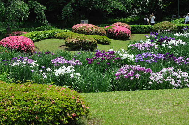 image0231