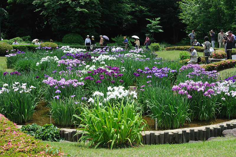 image0232