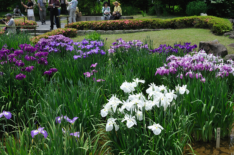 image0233
