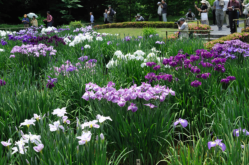 image0234