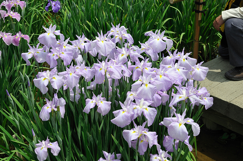 image0236