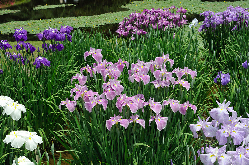 image0237