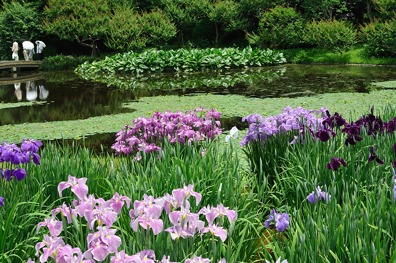 image0238