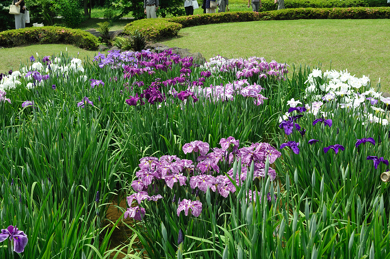 image0240