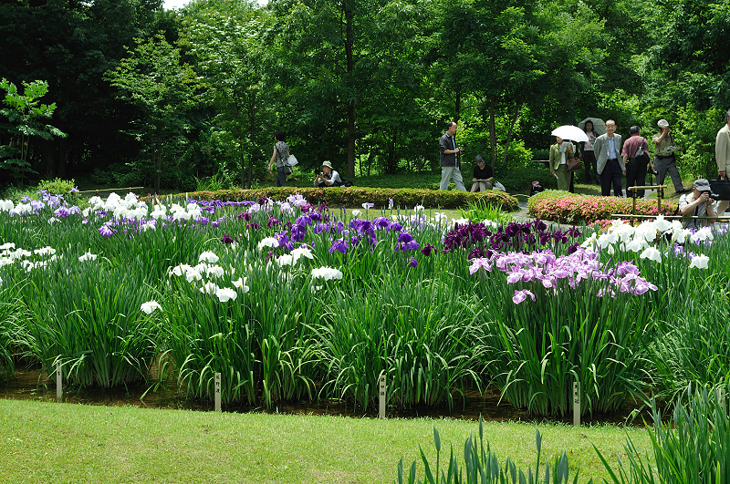 image0241