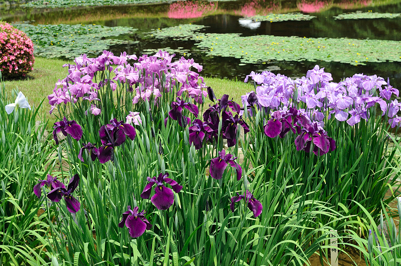 image0242