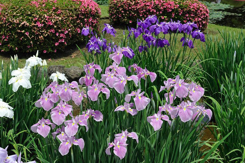 image0243