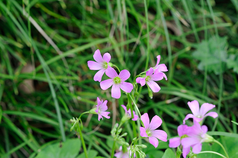 image0248