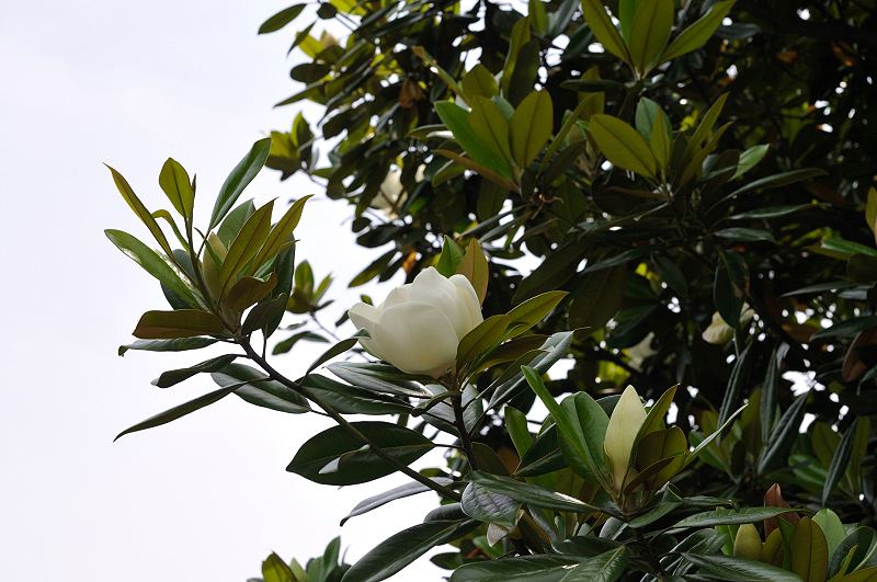 image0249