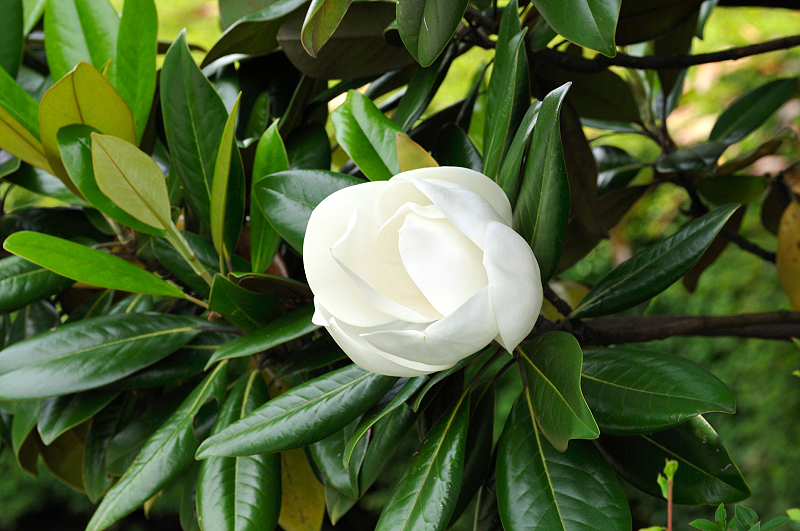 image0253