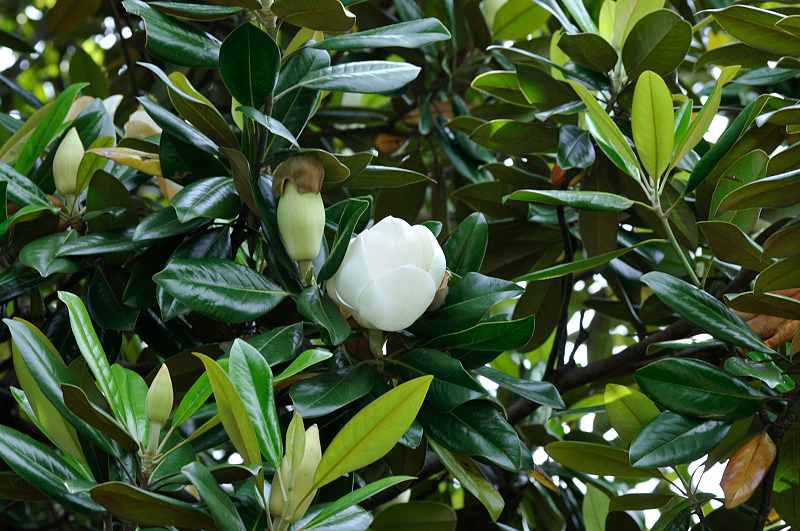 image0255