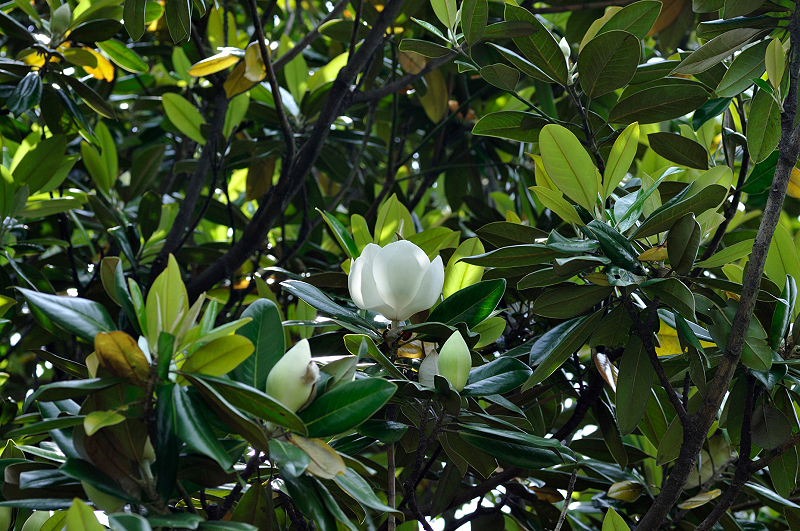 image0256