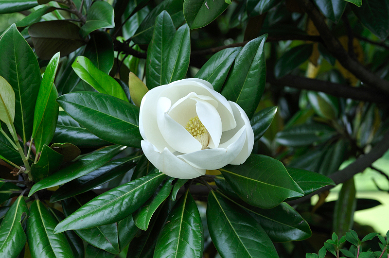 image0257