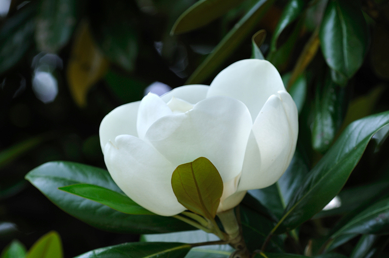 image0258