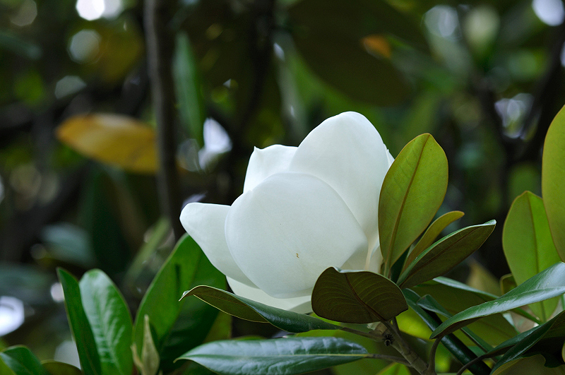 image0259