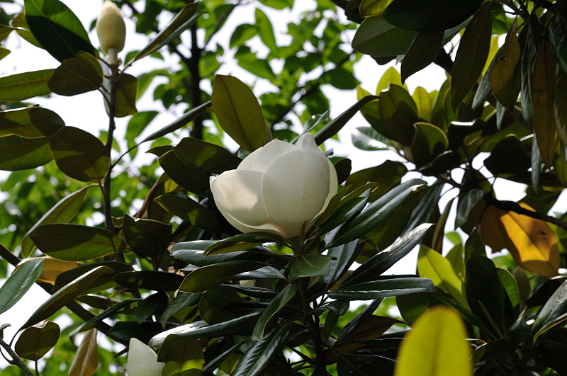 image0260