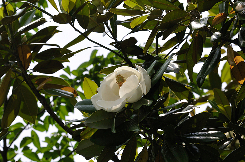 image0261