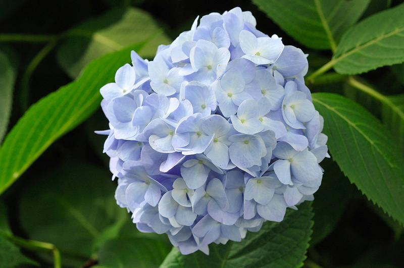 image0263