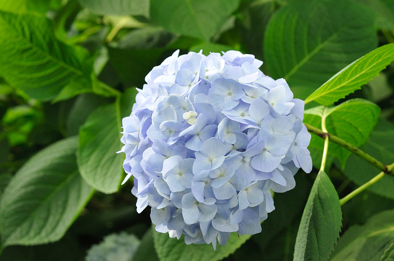 image0264