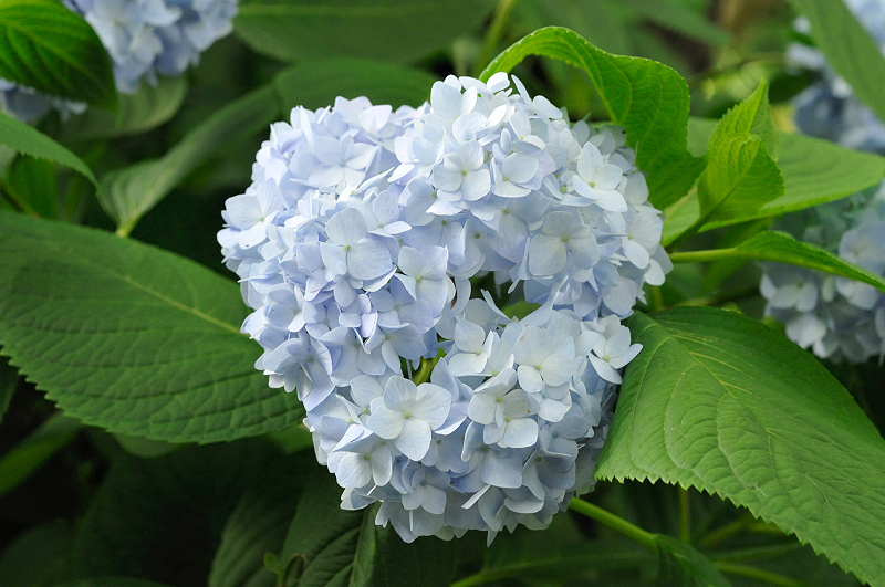 image0265