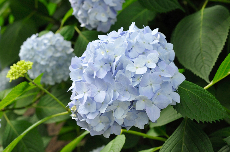 image0267