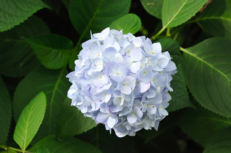 image0268