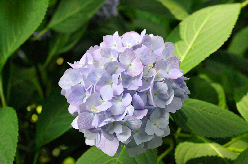 image0269