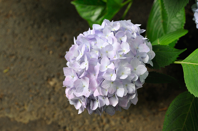 image0271