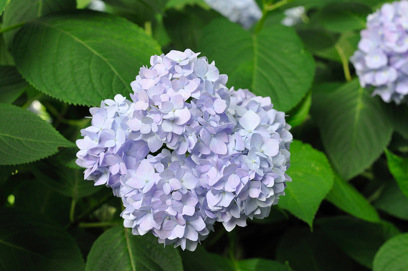 image0273