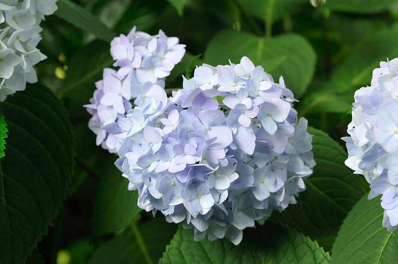 image0274