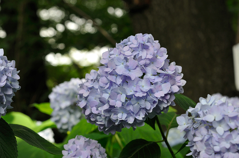 image0277