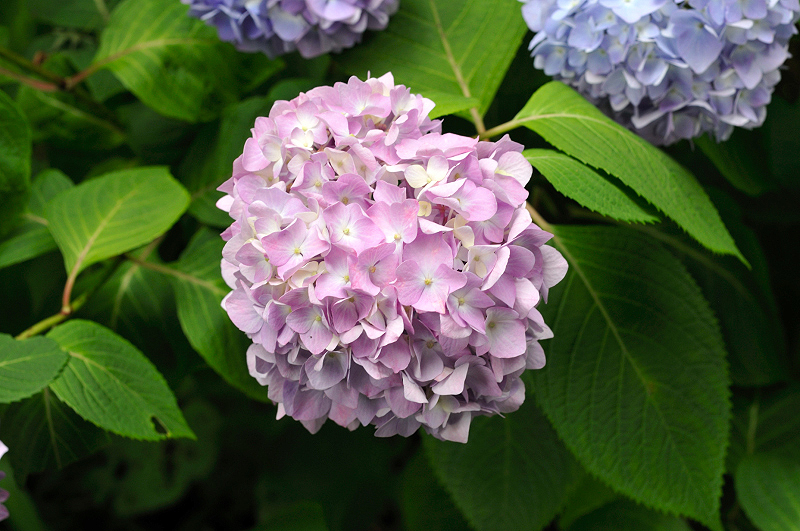 image0278