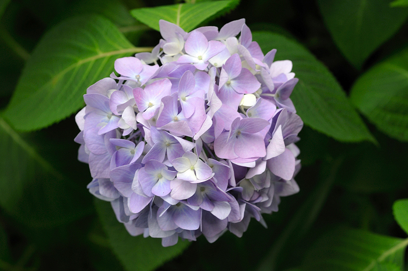 image0279