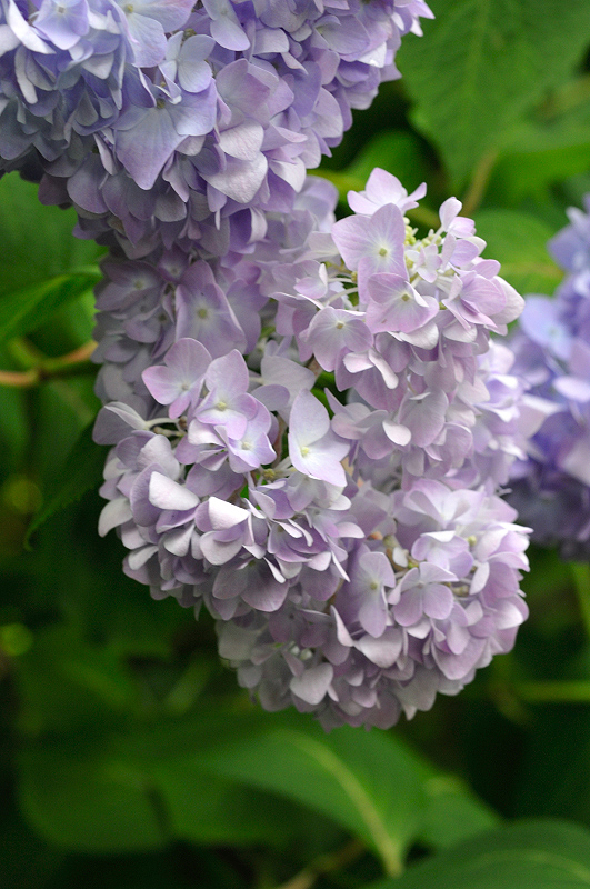 image0280