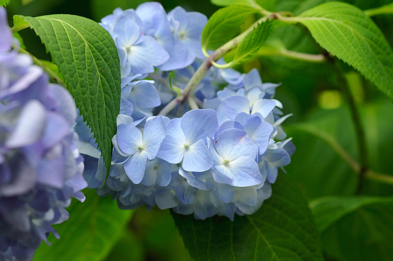 image0281