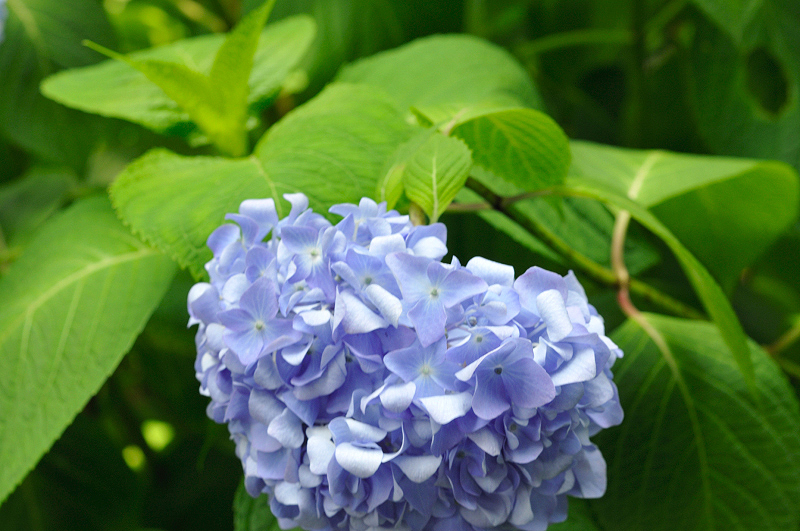image0282
