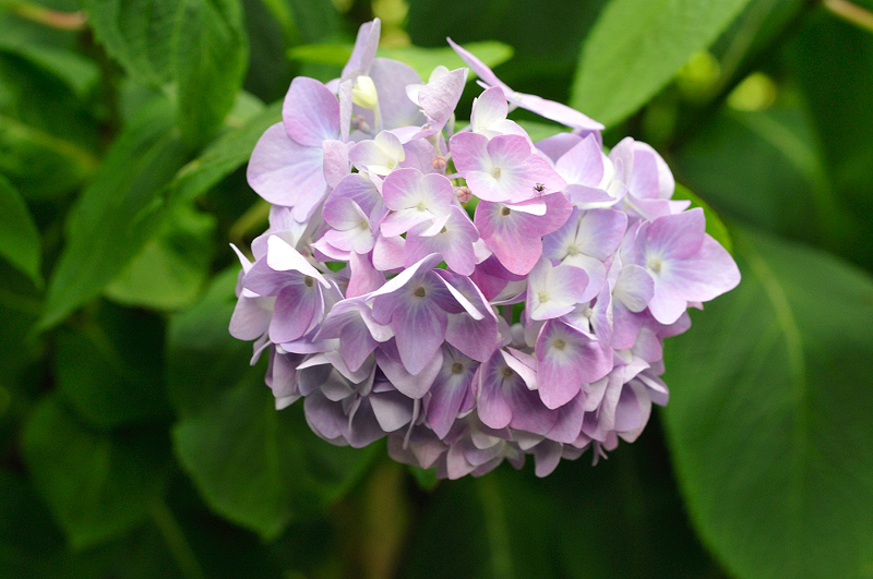image0283