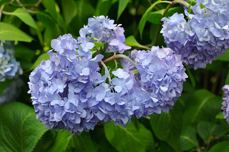 image0284