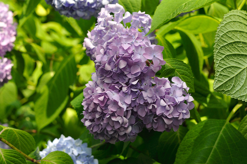 image0285