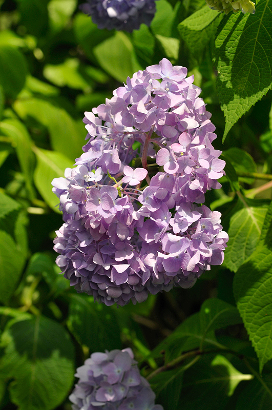 image0286