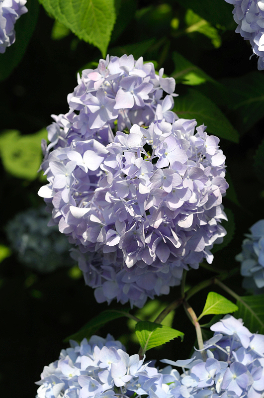 image0287