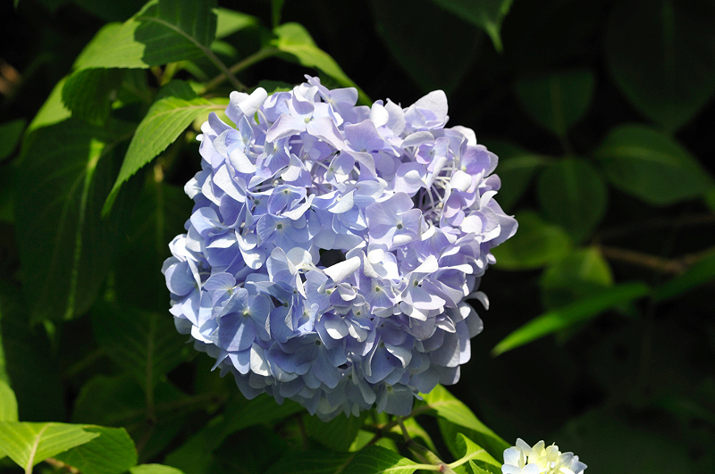 image0288