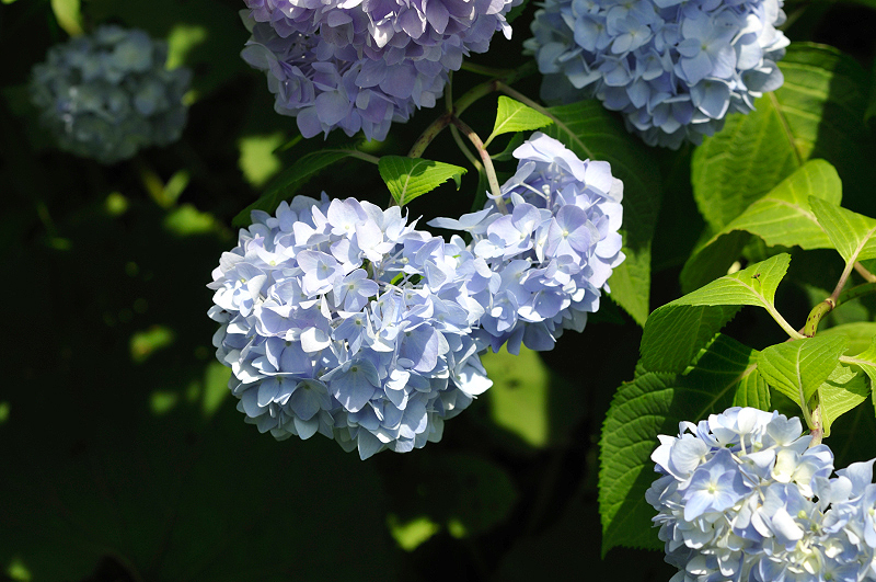 image0289