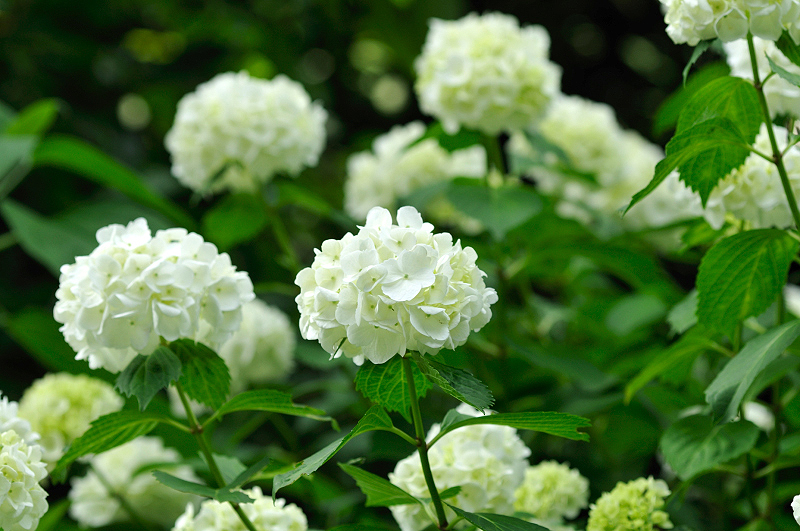 image0291