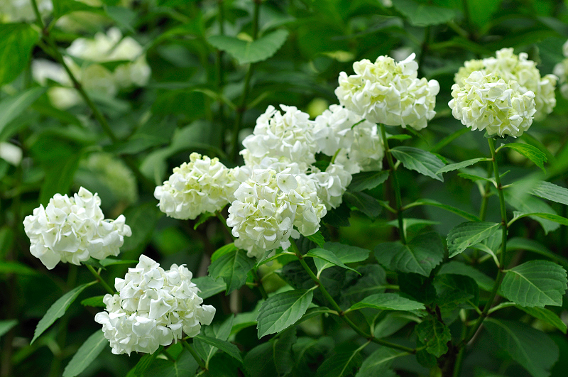 image0293